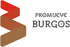 Ayuntamiento de Burgos